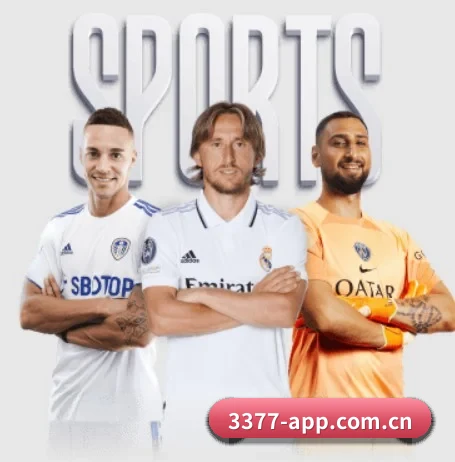 3377体育官方网站 APP 界面